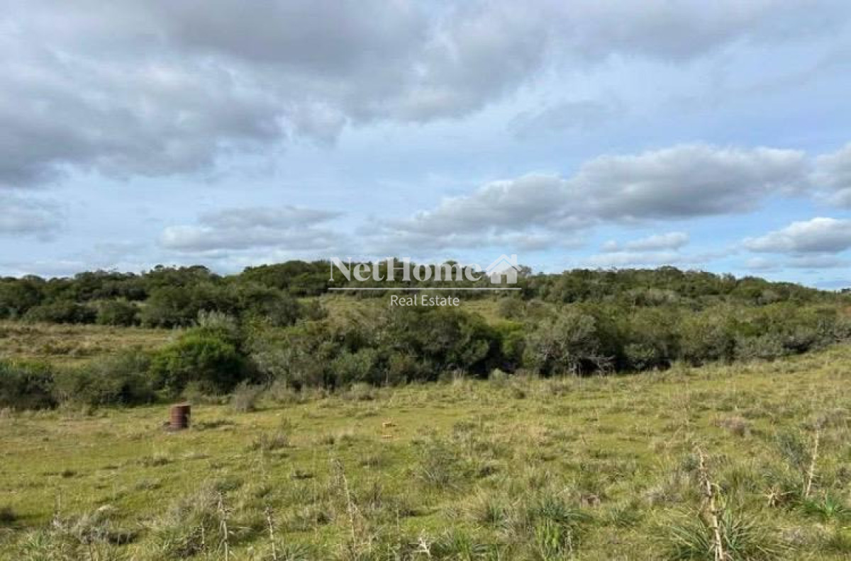 Chacra ID.1075 - Excelente inversión de 19 hectáreas sobre ruta 12 Pueblo Eden