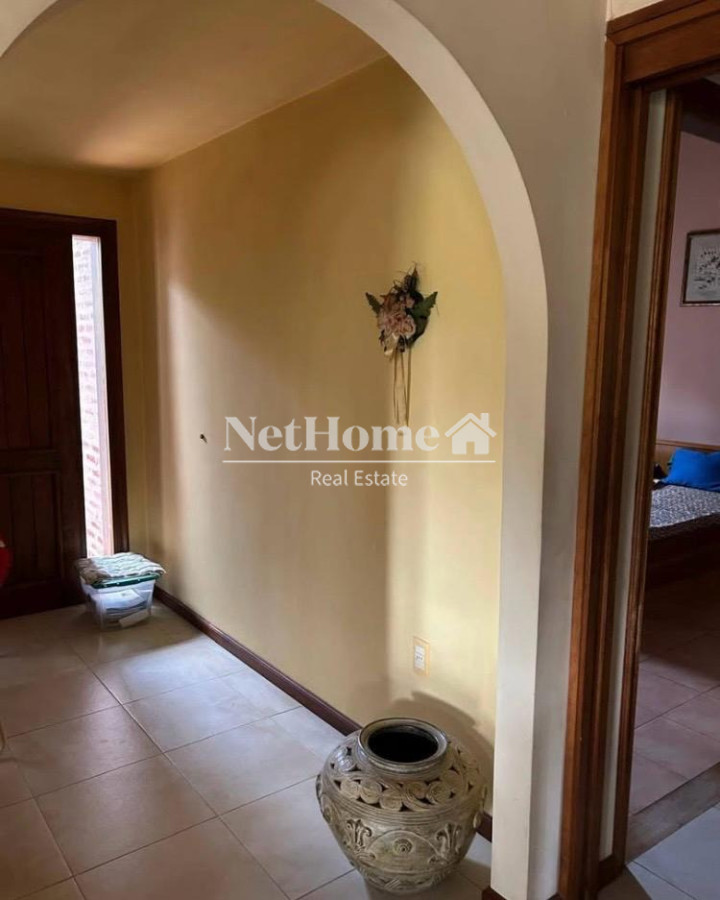 Chacra ID.1075 - Excelente inversión de 19 hectáreas sobre ruta 12 Pueblo Eden