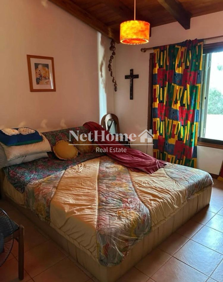 Chacra ID.1075 - Excelente inversión de 19 hectáreas sobre ruta 12 Pueblo Eden