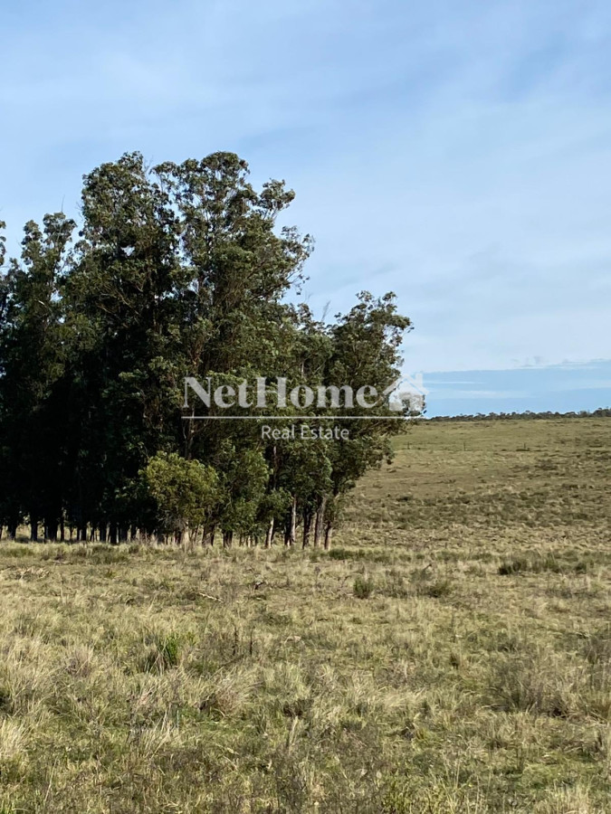 Chacra ID.915 - CAMINO CERRO EGUZQUIZA 5 HECTAREAS EN VENTA 