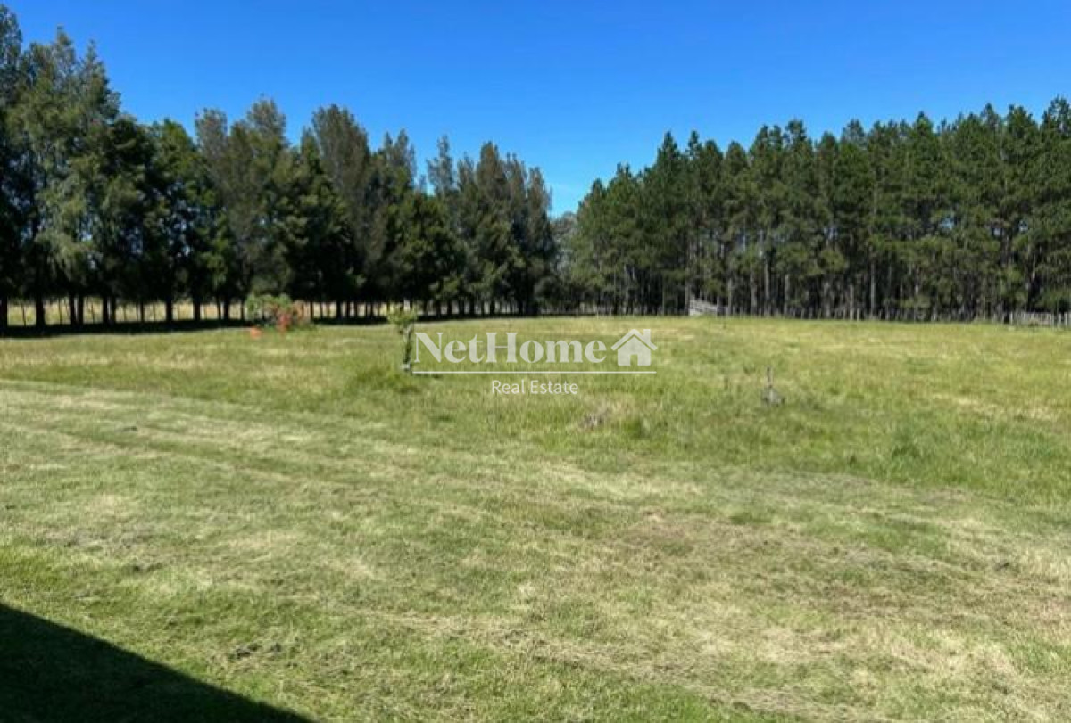 Chacra ID.965 - CHACRA DE 5 HECTAREAS PUEBLO EDEN