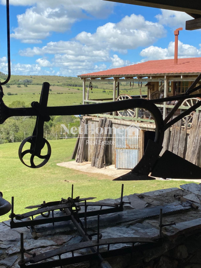 Chacra ID.989 - 11 HECTAREAS EN VENTA EN PUEBLO EDEN