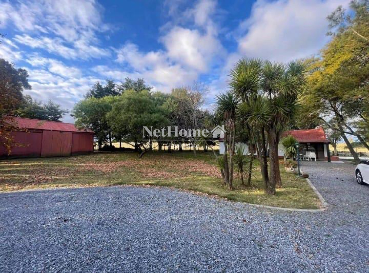 Chacra ID.908 - CHACRA DE 4 HECTAREAS CON CASA COLONIAL 