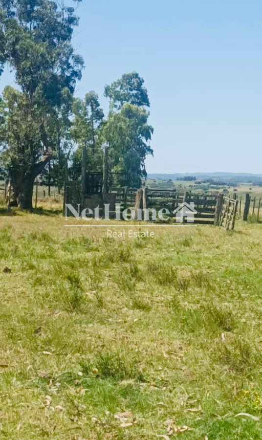 Chacra ID.911 - 28 HECTAREAS EN PASO DUTRA , A 10 K DE SAN CARLOS 