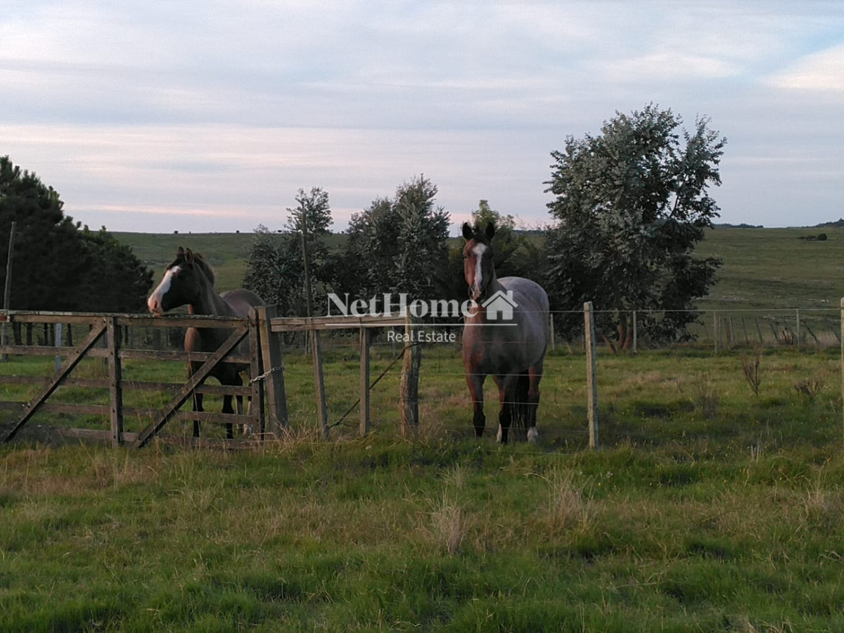 Chacra ID.819 - 2 Casas en 16,5 ha Sierra de las Animas