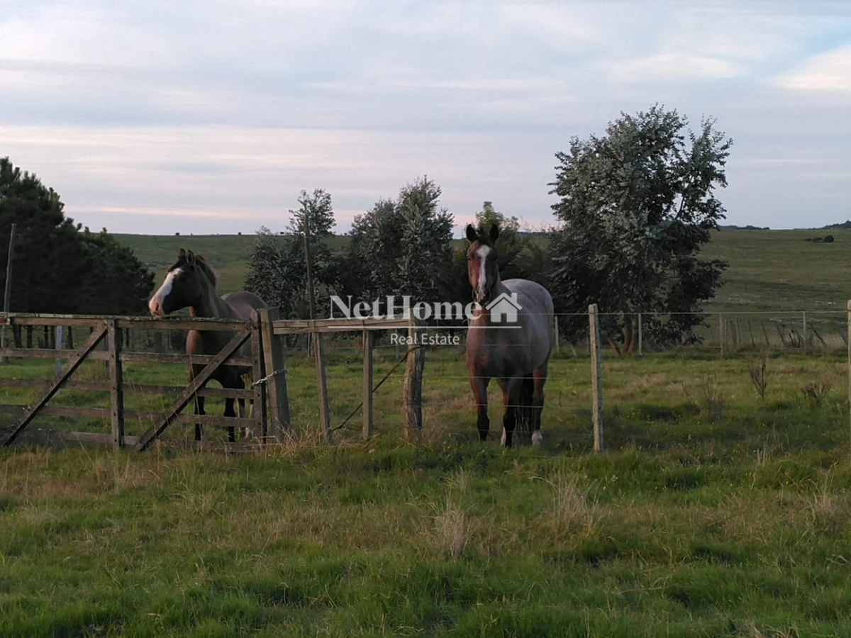 Chacra ID.819 - 2 Casas en 16,5 ha Sierra de las Animas
