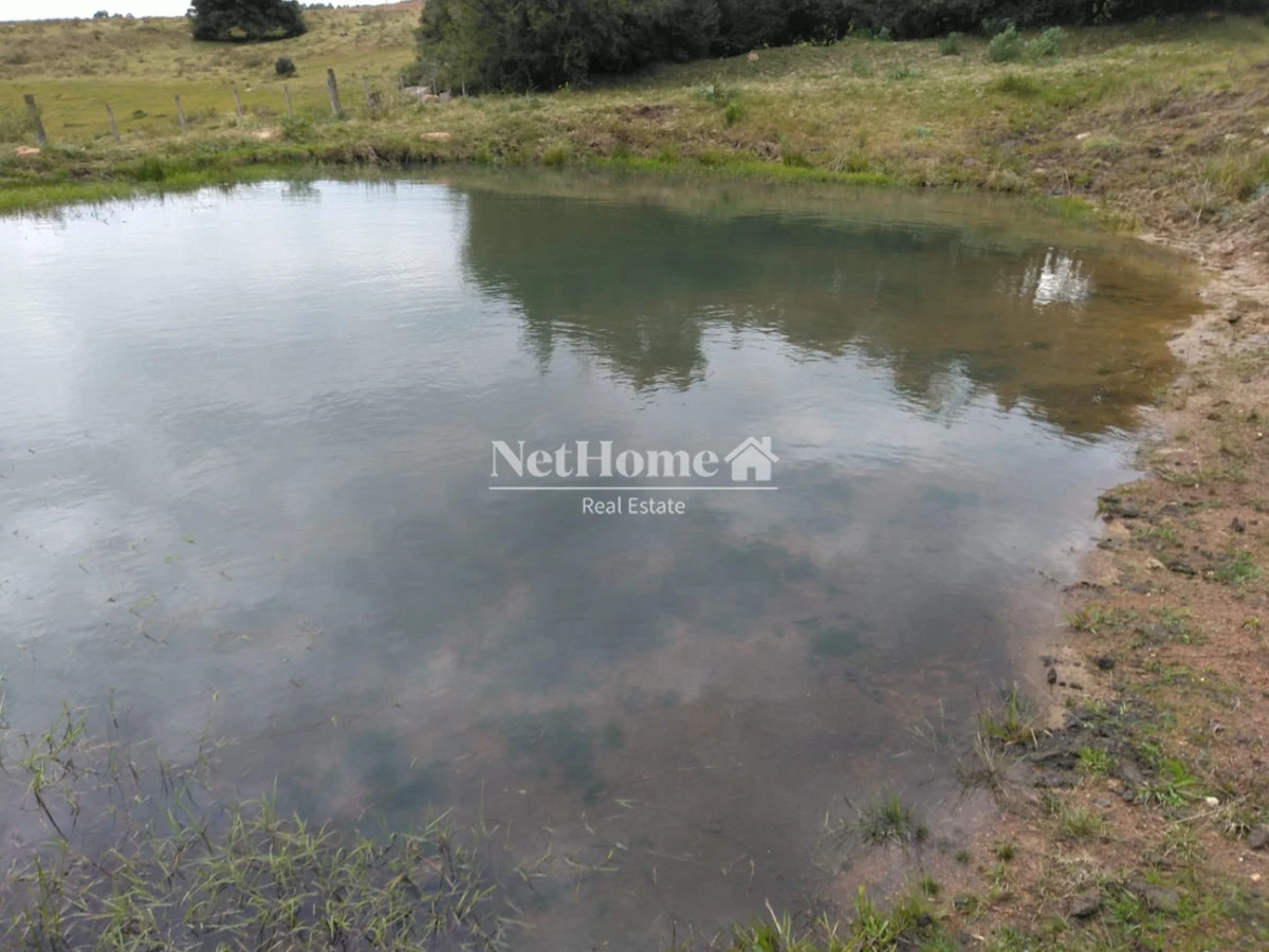 Chacra ID.819 - 2 Casas en 16,5 ha Sierra de las Animas