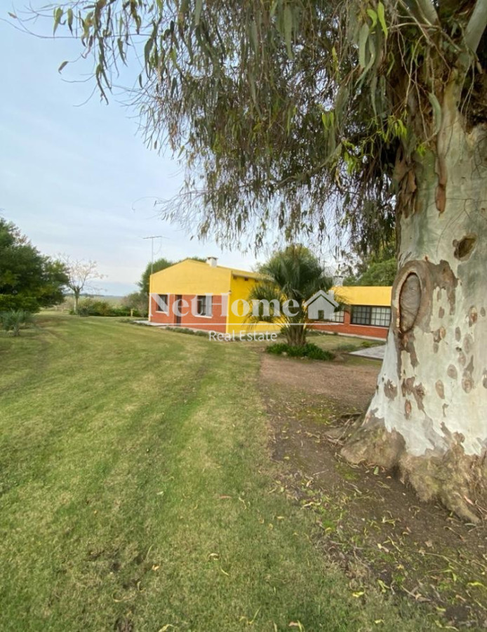 Chacra ID.964 - HERMOSA CHACRA EN VENTA SOBRE RUTA 9