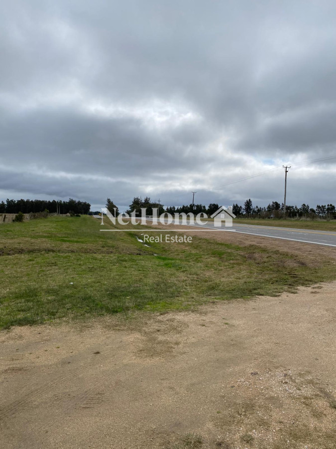 Chacra ID.955 - CHACRA SOBRE RUTA 104