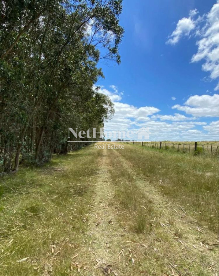 Chacra ID.935 - Chacra en paraje Corte de la Leña