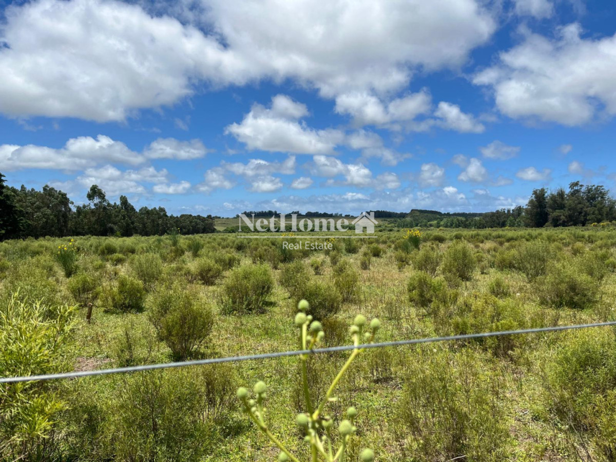 Chacra ID.1029 - CHACRA EN VENTA EN RUTA 104  CAMINO MEDELLIN