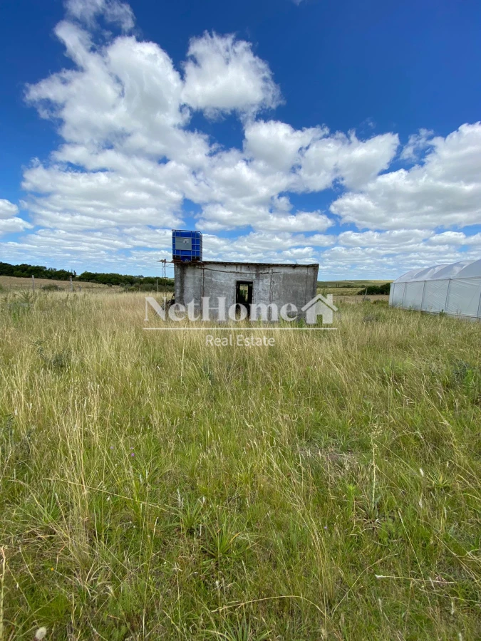 Chacra ID.904 - CHACRA 10.5 HECTAREAS , CORTE DE LA LEÑA , MONTE EUCALIPTO,2 AGUADA 4 INVERNACULOS , CASA , GALPON
