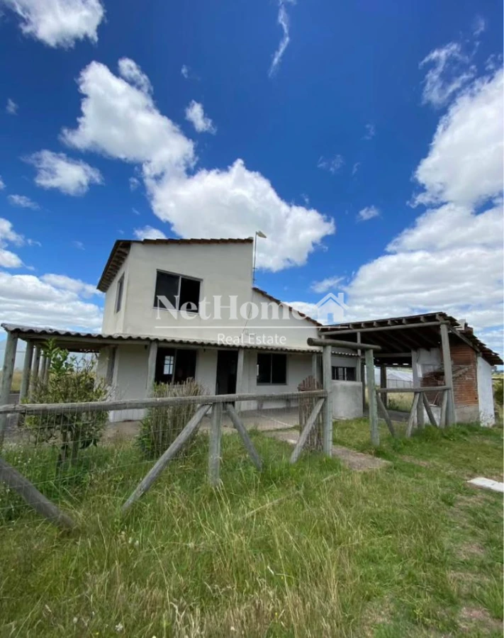Chacra ID.904 - CHACRA 10.5 HECTAREAS , CORTE DE LA LEÑA , MONTE EUCALIPTO,2 AGUADA 4 INVERNACULOS , CASA , GALPON