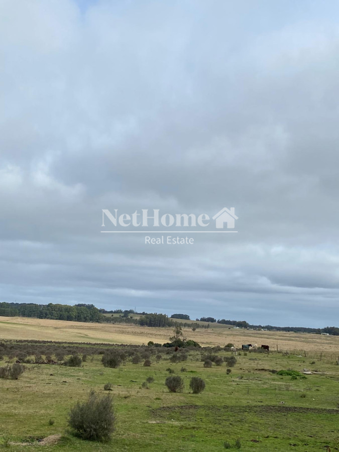 Chacra ID.955 - CHACRA SOBRE RUTA 104
