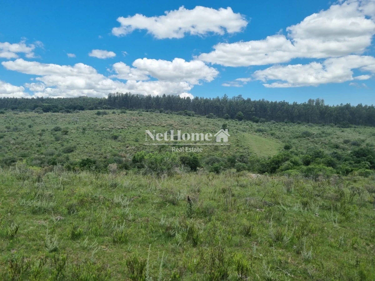 Chacra ID.903 - CHACRA A LA VENTA , VISTAS INCREIBLES PUEBLO EDEN 