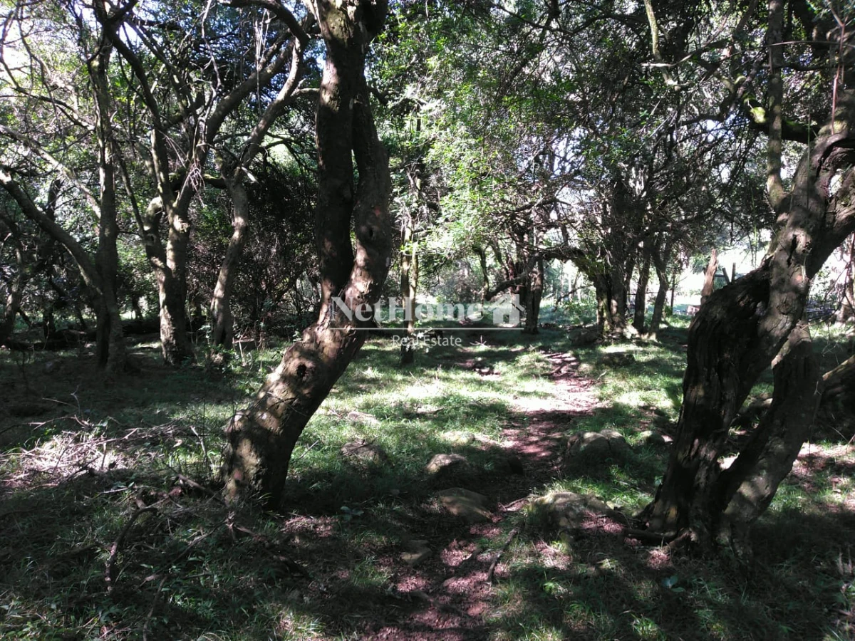 Chacra ID.819 - 2 Casas en 16,5 ha Sierra de las Animas