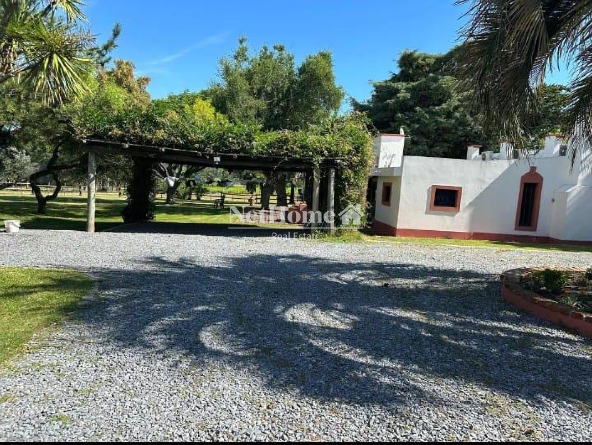 Chacra ID.908 - CHACRA DE 4 HECTAREAS CON CASA COLONIAL 