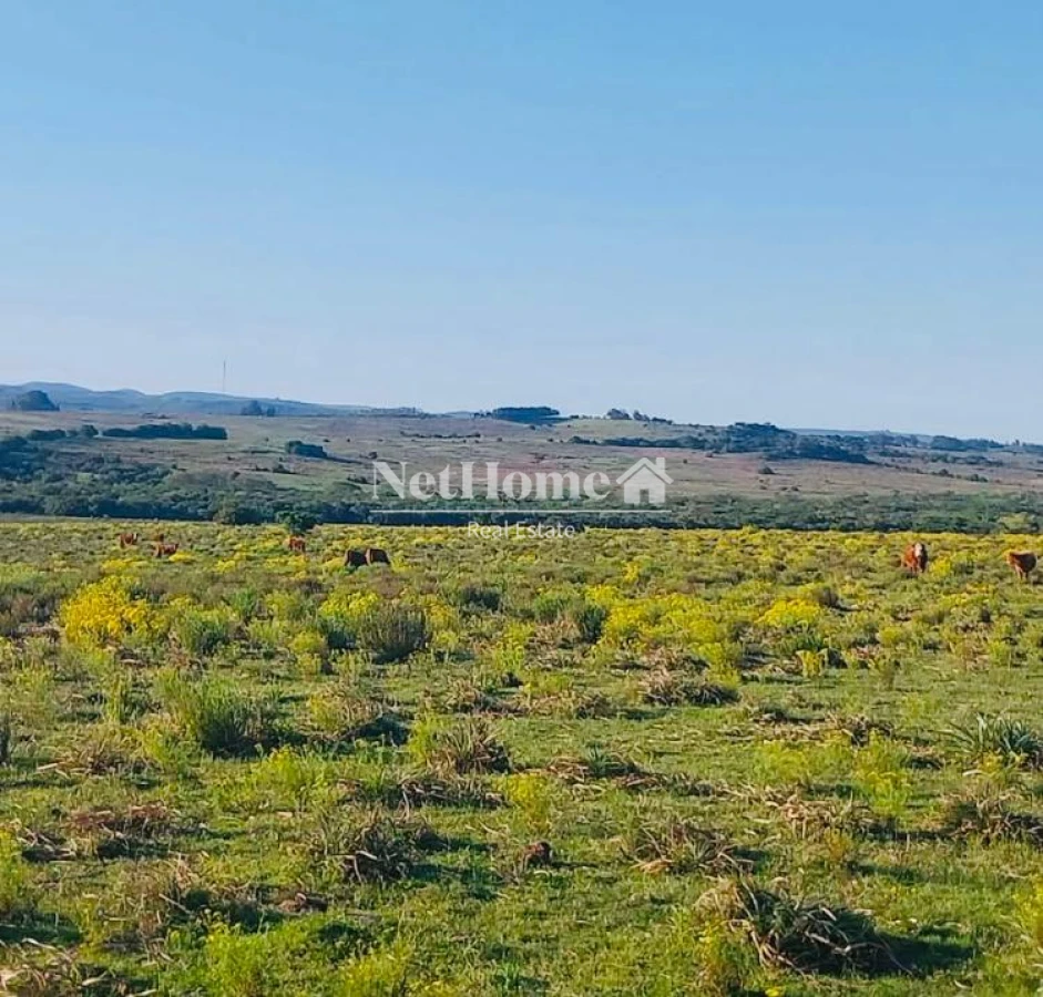 Chacra ID.911 - 28 HECTAREAS EN PASO DUTRA , A 10 K DE SAN CARLOS 