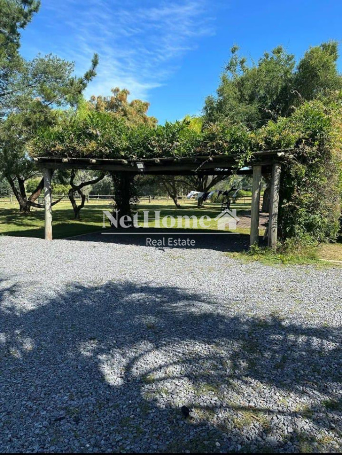 Chacra ID.908 - CHACRA DE 4 HECTAREAS CON CASA COLONIAL 