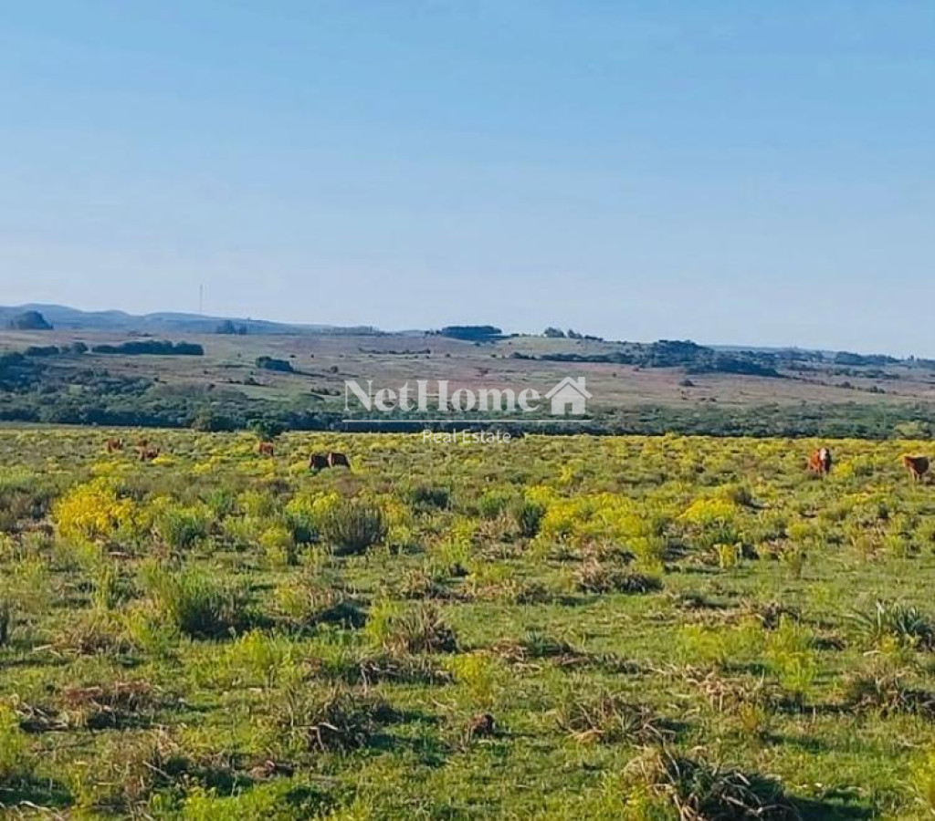 Chacra ID.911 - 28 HECTAREAS EN PASO DUTRA , A 10 K DE SAN CARLOS 