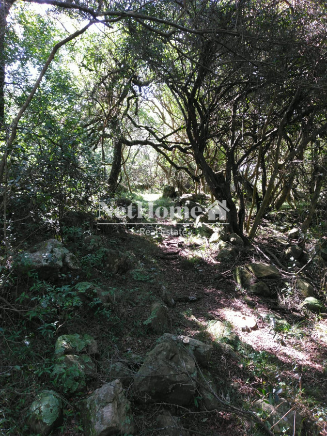 Chacra ID.819 - 2 Casas en 16,5 ha Sierra de las Animas