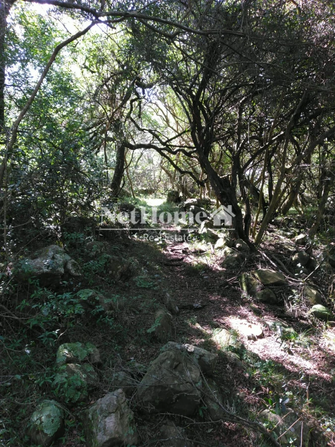 Chacra ID.819 - 2 Casas en 16,5 ha Sierra de las Animas