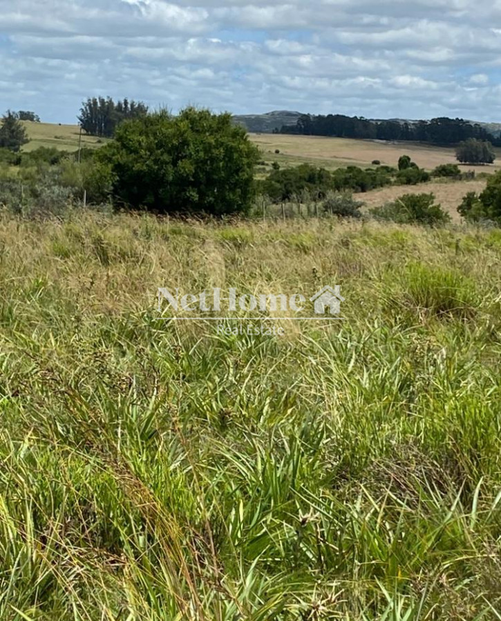 Chacra ID.935 - Chacra en paraje Corte de la Leña
