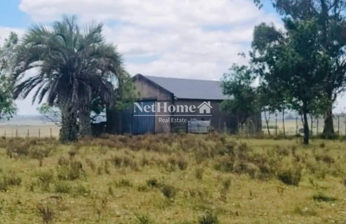 Chacra ID.911 - 28 HECTAREAS EN PASO DUTRA , A 10 K DE SAN CARLOS 