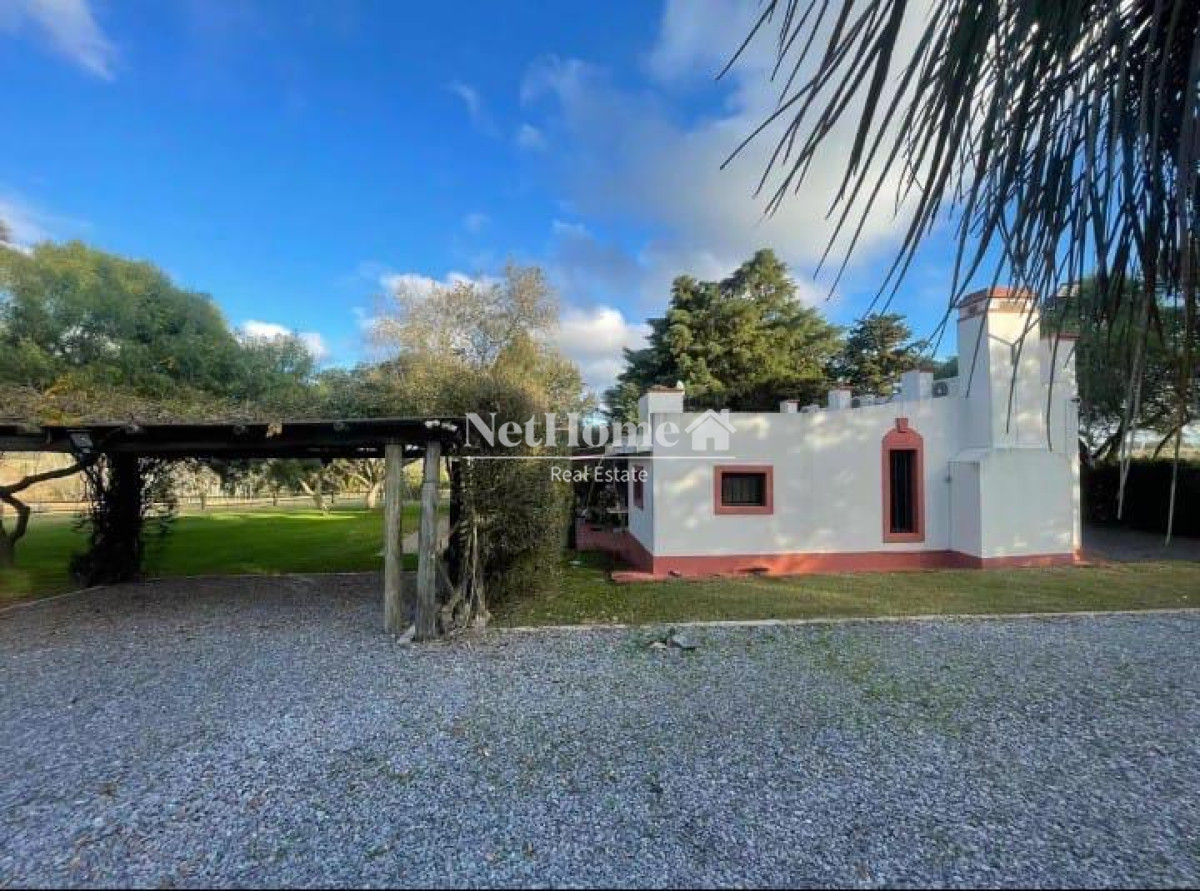 Chacra ID.908 - CHACRA DE 4 HECTAREAS CON CASA COLONIAL 