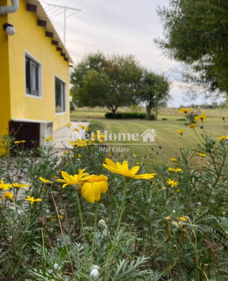 Chacra ID.964 - HERMOSA CHACRA EN VENTA SOBRE RUTA 9