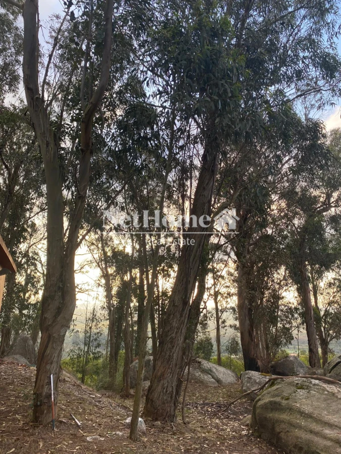 Chacra ID.923 - HERMOSA CHACRA EN PARAJE LAS CAÑAS, VISTAS UNICAS 