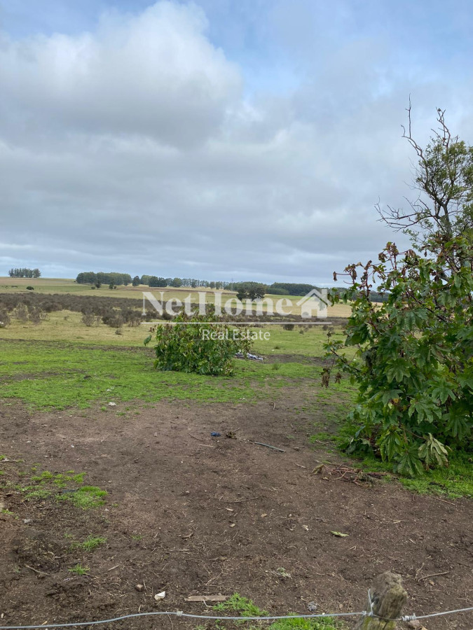 Chacra ID.955 - CHACRA SOBRE RUTA 104