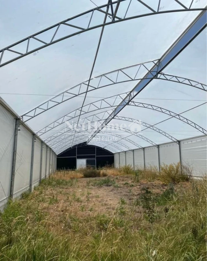 Chacra ID.904 - CHACRA 10.5 HECTAREAS , CORTE DE LA LEÑA , MONTE EUCALIPTO,2 AGUADA 4 INVERNACULOS , CASA , GALPON