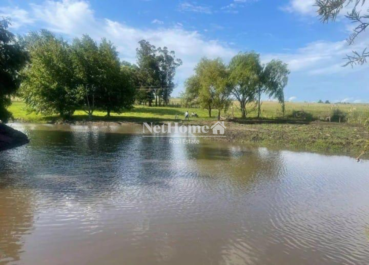 Chacra ID.908 - CHACRA DE 4 HECTAREAS CON CASA COLONIAL 