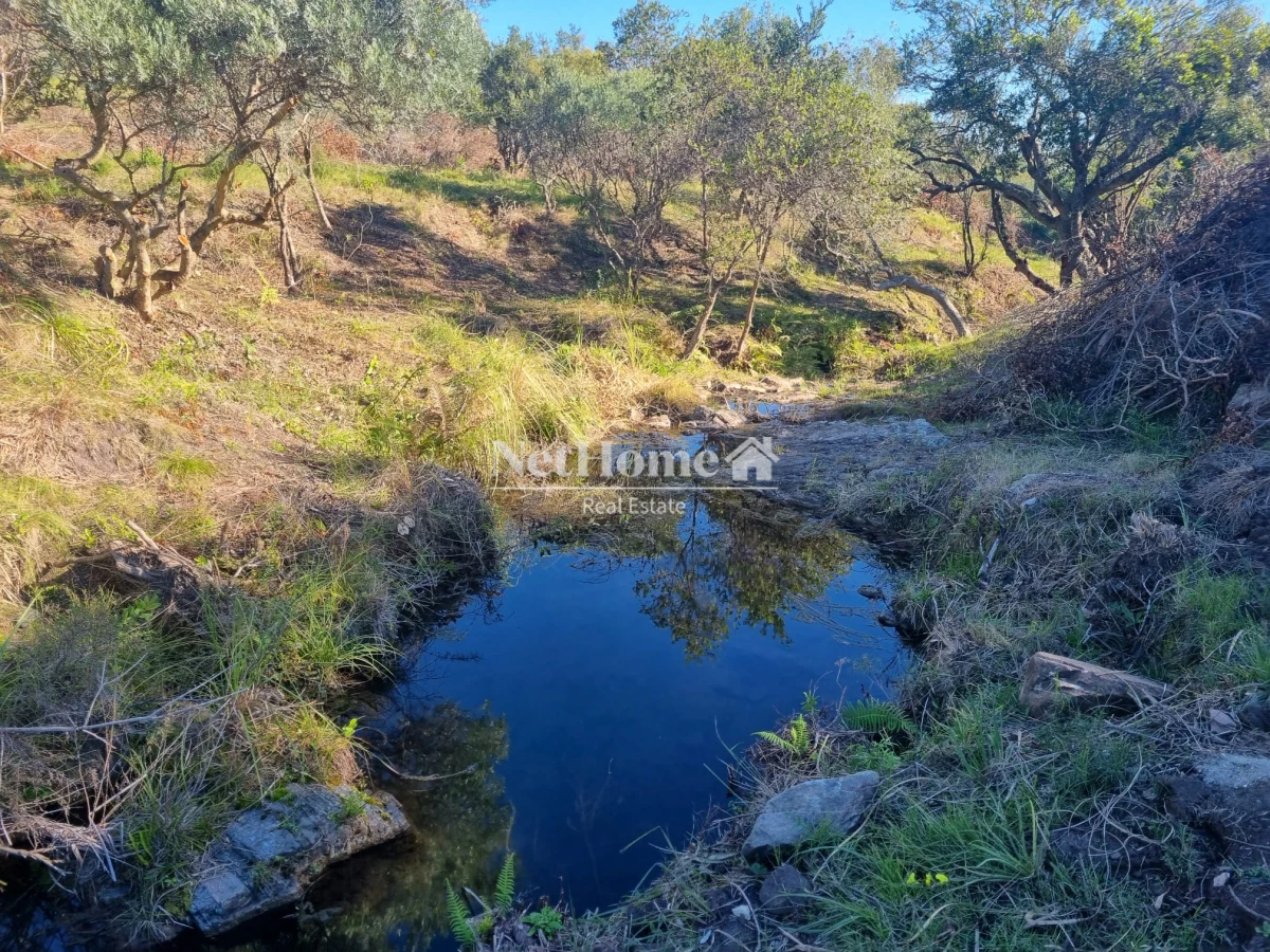 Chacra ID.903 - CHACRA A LA VENTA , VISTAS INCREIBLES PUEBLO EDEN 