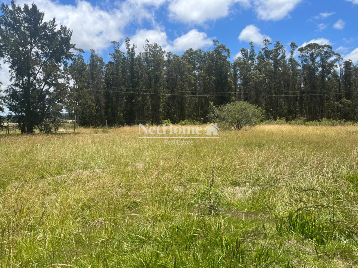 Chacra ID.1029 - CHACRA EN VENTA EN RUTA 104  CAMINO MEDELLIN