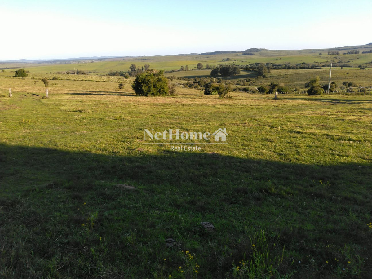 Chacra ID.819 - 2 Casas en 16,5 ha Sierra de las Animas