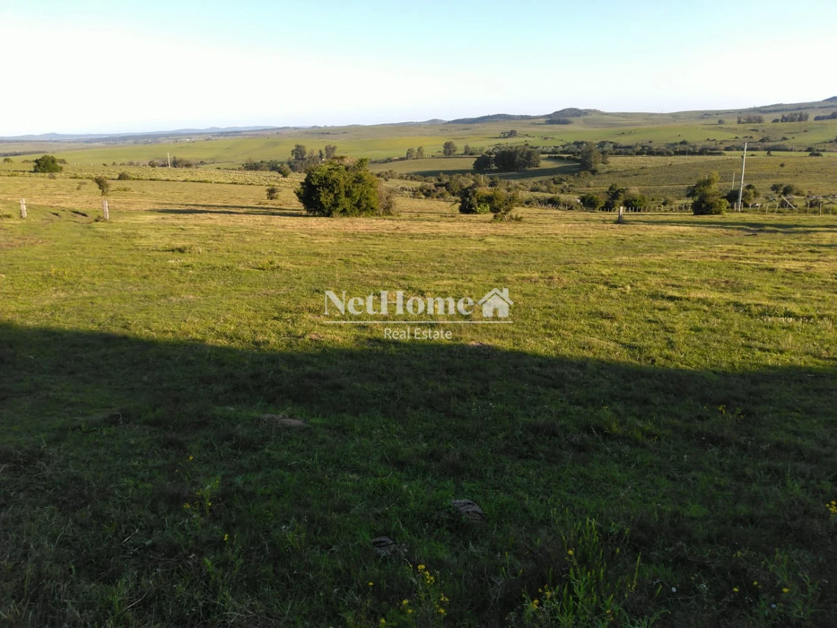 Chacra ID.819 - 2 Casas en 16,5 ha Sierra de las Animas
