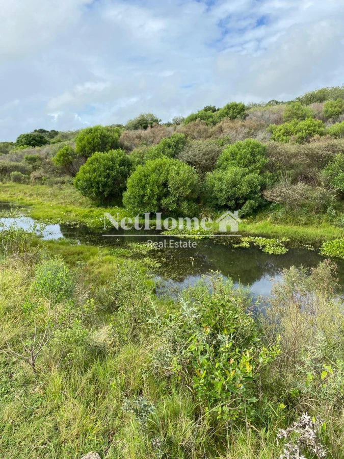 Chacra ID.960 -  CHACRA A LA VENTA CON UN ESPLENDIDO ENTORNO