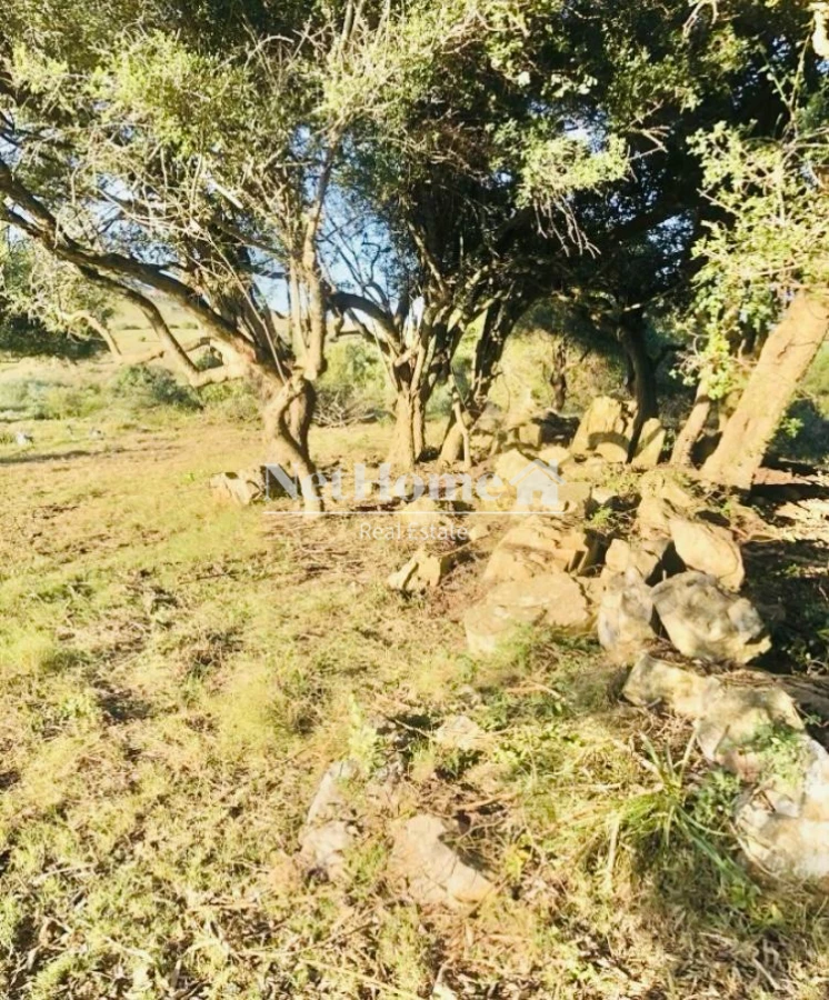 Chacra ID.903 - CHACRA A LA VENTA , VISTAS INCREIBLES PUEBLO EDEN 