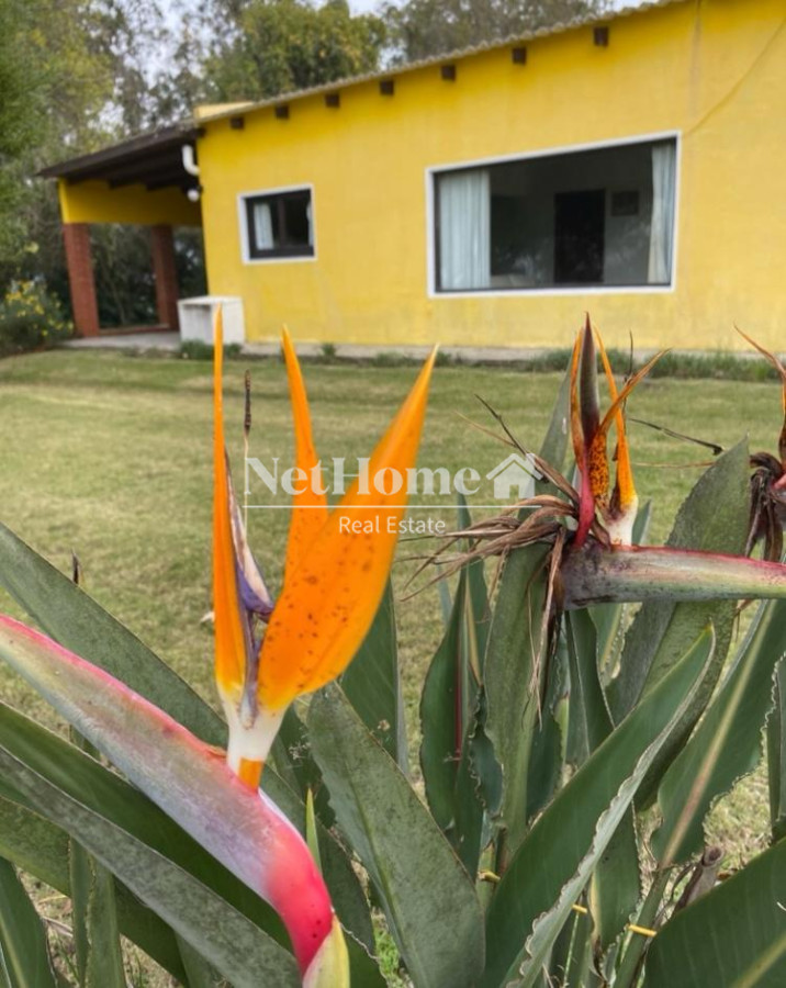 Chacra ID.964 - HERMOSA CHACRA EN VENTA SOBRE RUTA 9
