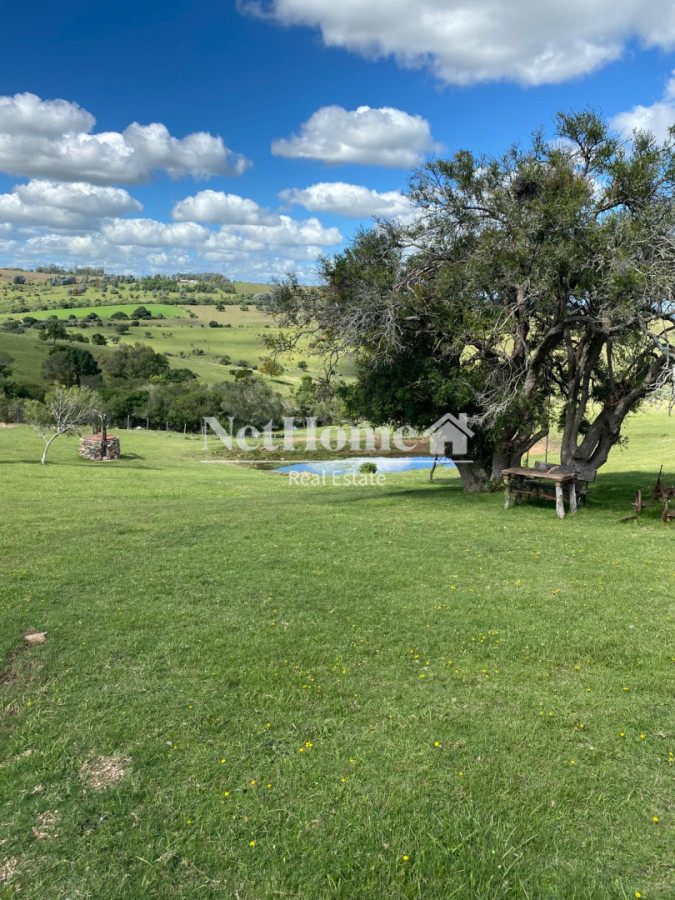 Chacra ID.989 - 11 HECTAREAS EN VENTA EN PUEBLO EDEN