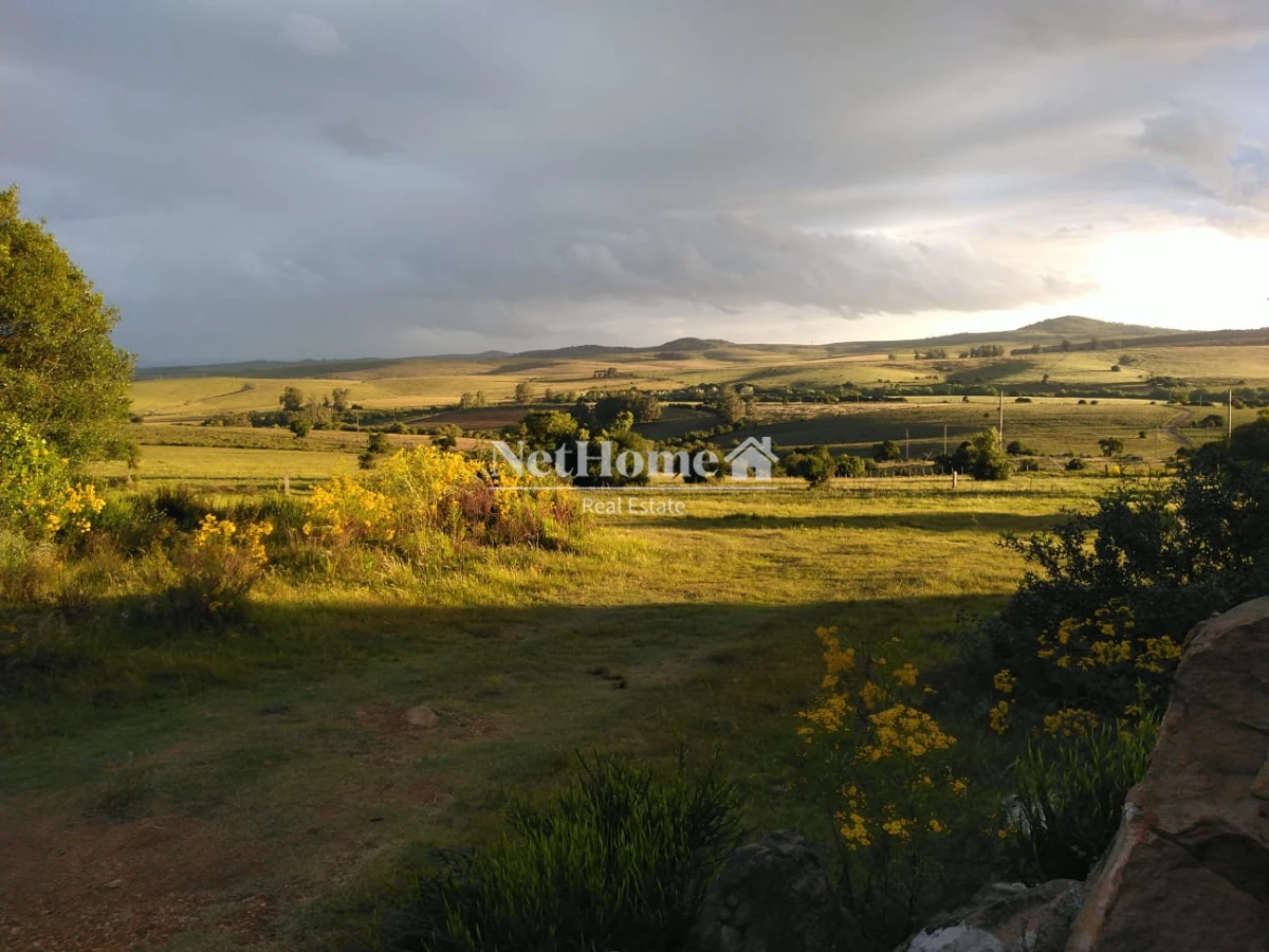 Chacra ID.819 - 2 Casas en 16,5 ha Sierra de las Animas