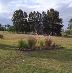 CHACRA DE 5 HECTAREAS CAMINO LOS CEIBOS