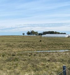 CAMINO CERRO EGUZQUIZA 5 HECTAREAS EN VENTA