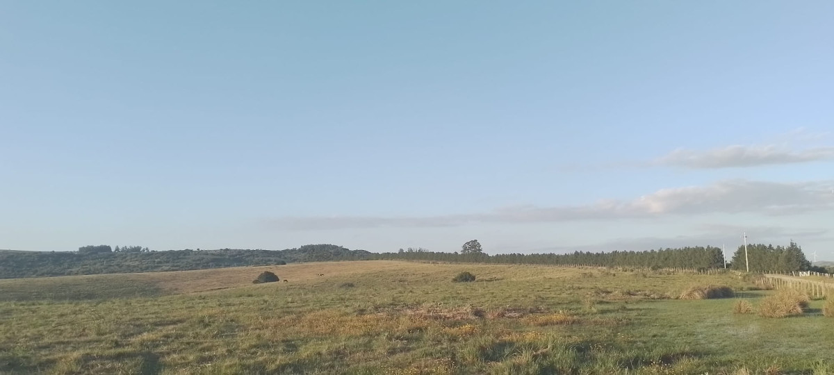 Chacra con Casa de 30 ha en Sierra de los Caracoles