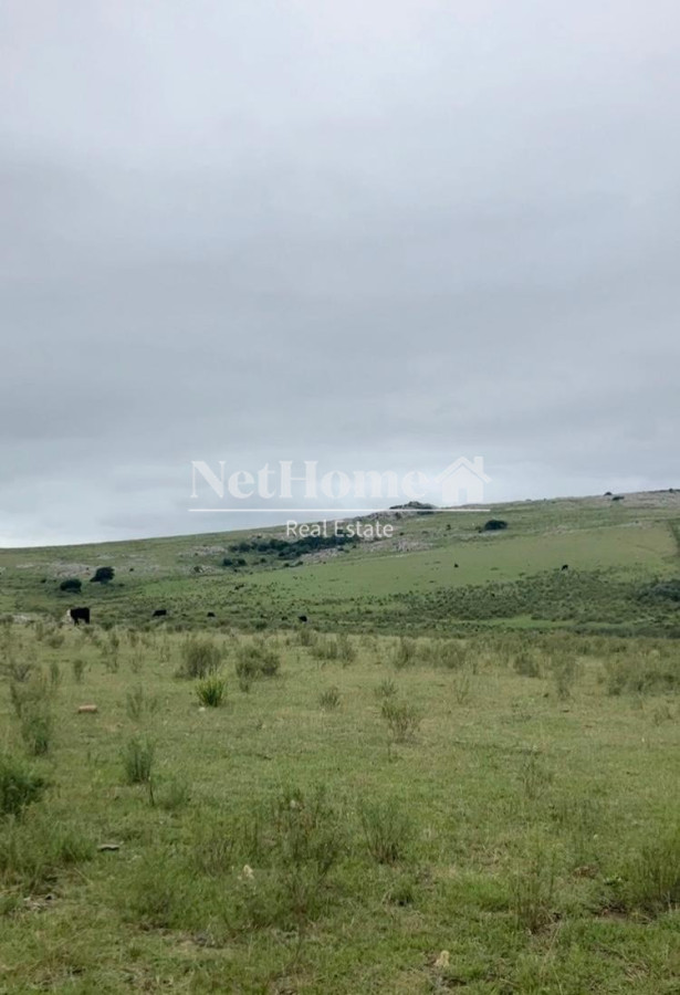 Campo Ref.622 -  Venta Campo 370 has Pan de Azúcar