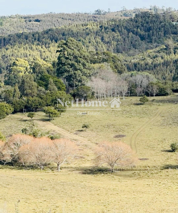 Campo Ref.959 - CAMPO DE 26 HECTAREAS EXCELENTE UBICACION