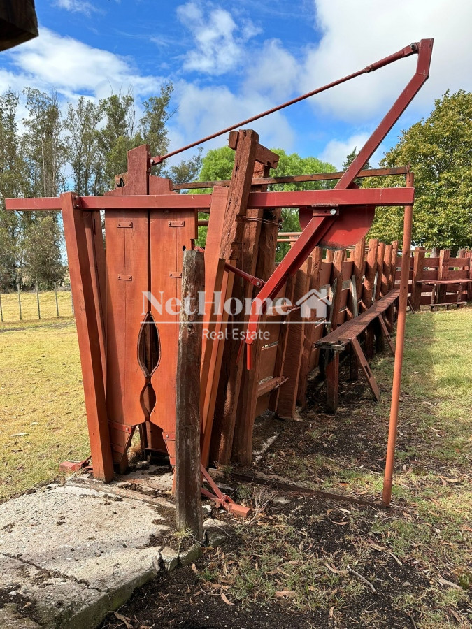 Campo Ref.304 - Campo 500Ha Ganadero-Agricola Minas