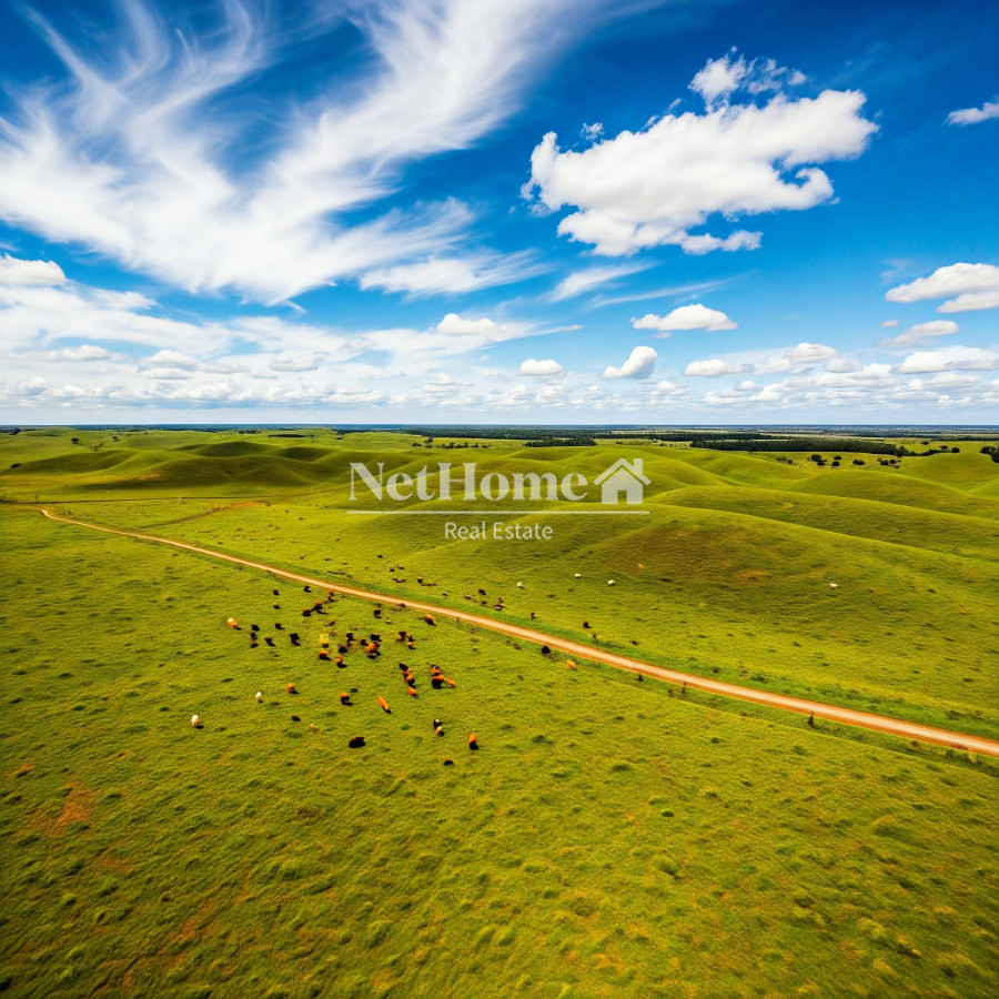 Campo Ref.979 - Campo 270 ha Salamanca
